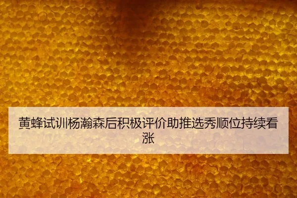 黄蜂试训杨瀚森后积极评价助推选秀顺位持续看涨